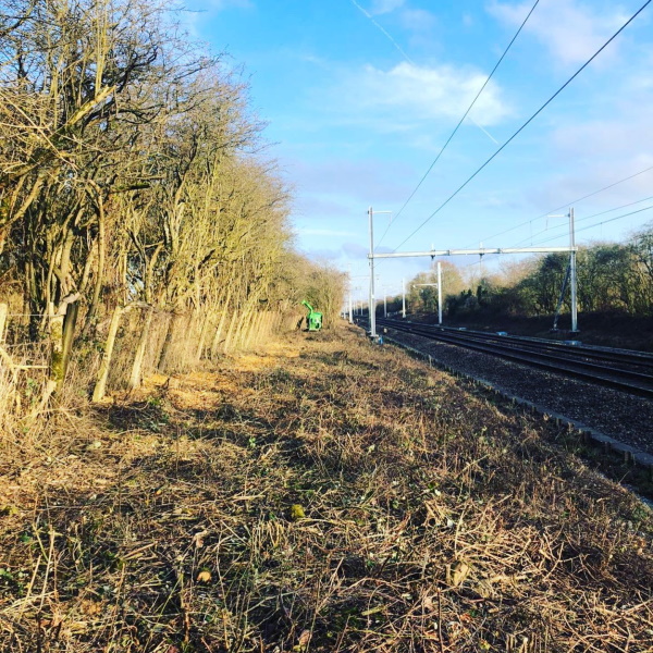 Railway Arborist